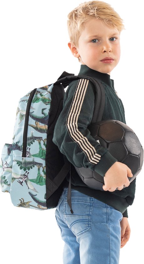 Cante me dinosaur /Skooter Dino Backpack