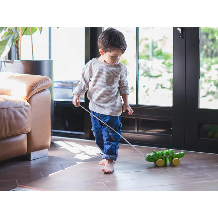 Dancing Aligator plantoys