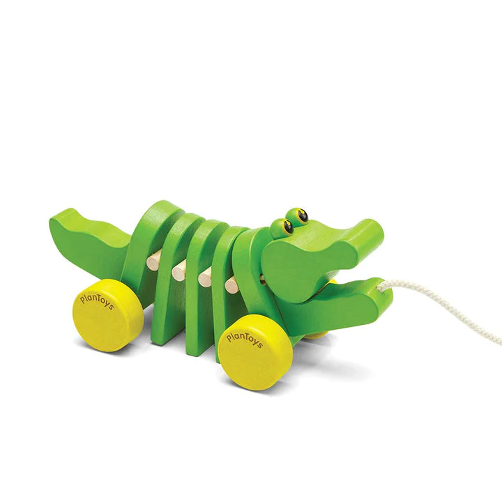 Dancing Aligator plantoys