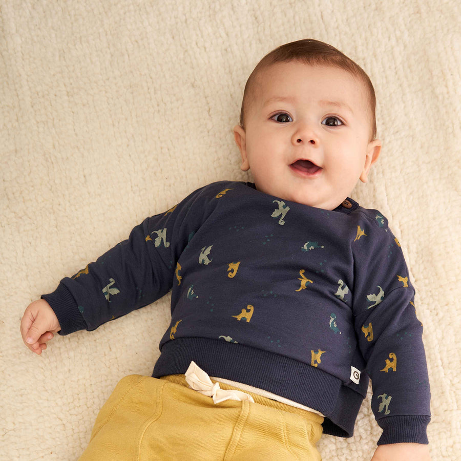 Triko me dragonj/DRAGON sweatshirt with dragons- Müsli