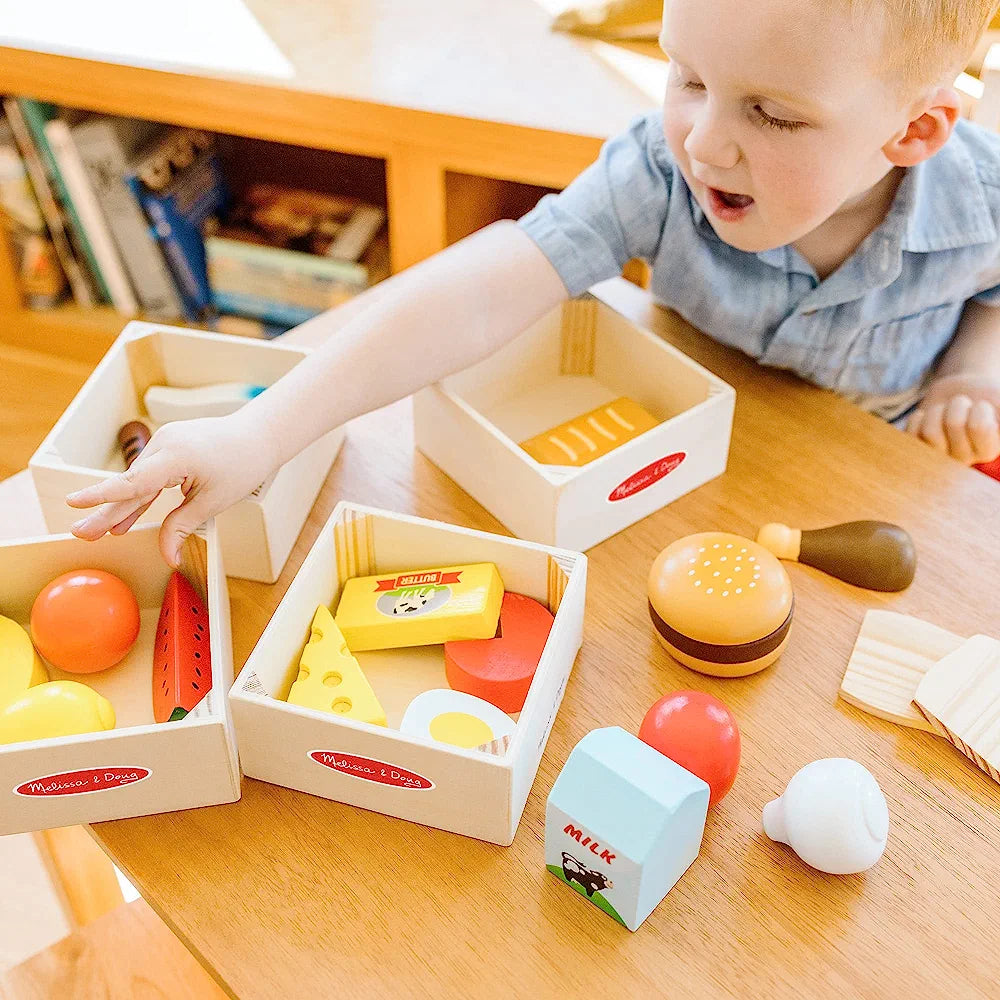 Food groups/Seti 'Ushqime Druri'-Melissa&Doug