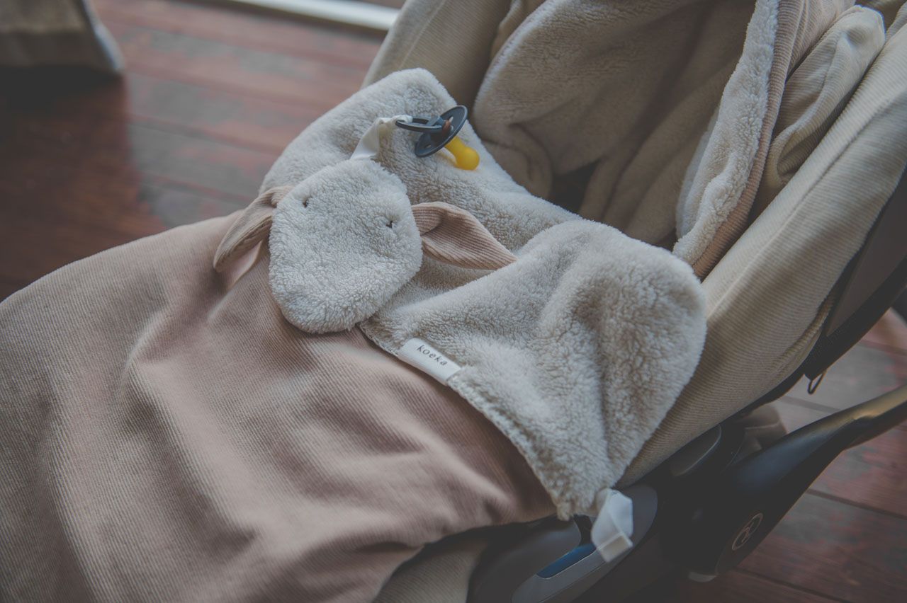 Mbeshtjellese e kembeve per sexholino\Footmuff teddy oddi rosa salt -Koeka