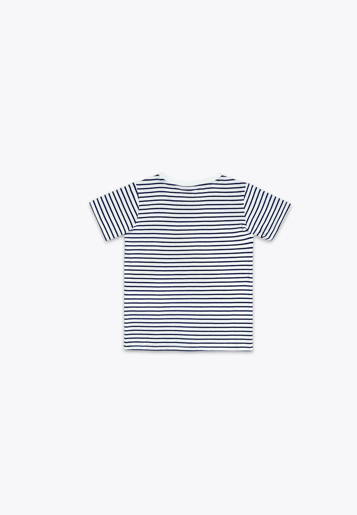 Bluze me vija me spirancë/T-Shirt Rigata con Ancora in Jersey BCI/Brums